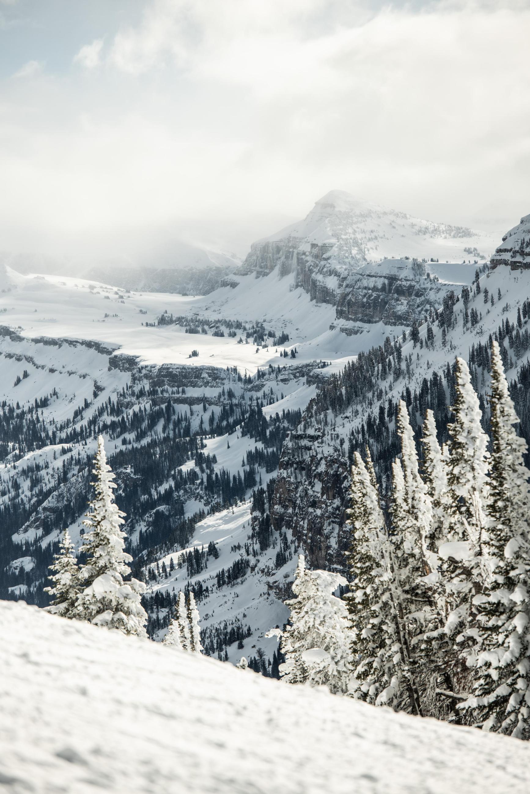 World Telemark Day Celebration Grand Targhee